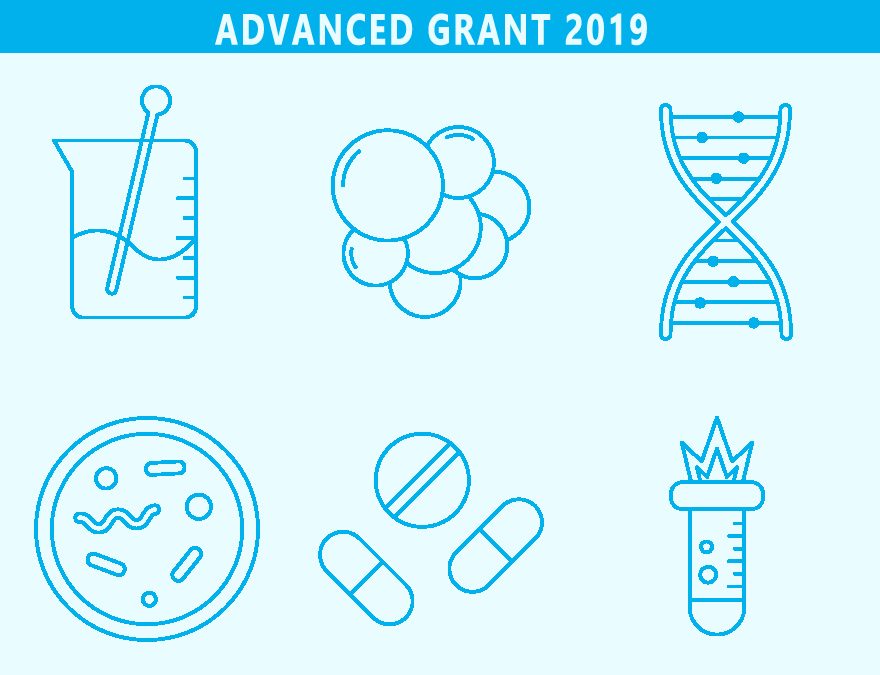ERC Advanced Grants, una excelente oportunidad para investigadores consolidados