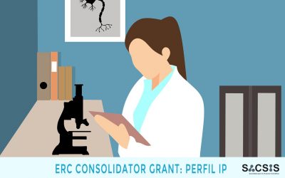 ERC-Consolidator: los requisitos del Investigador Principal (IP)