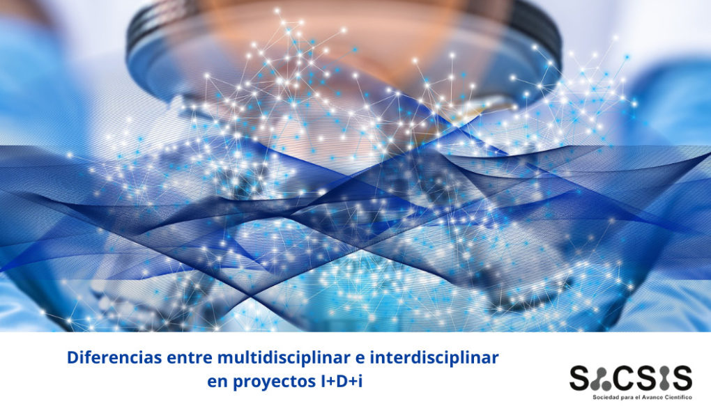 Diferencias entre multidisciplinar e interdisciplinar en proyectos I+D+i