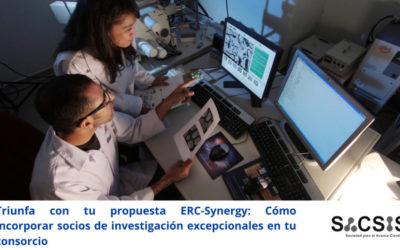 Triunfa con tu propuesta ERC-Synergy: cómo incorporar socios de investigación excepcionales en tu consorcio