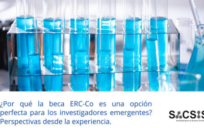 ¿Por qué la beca ERC-Co es una opción perfecta para los investigadores emergentes? Perspectivas desde la experiencia