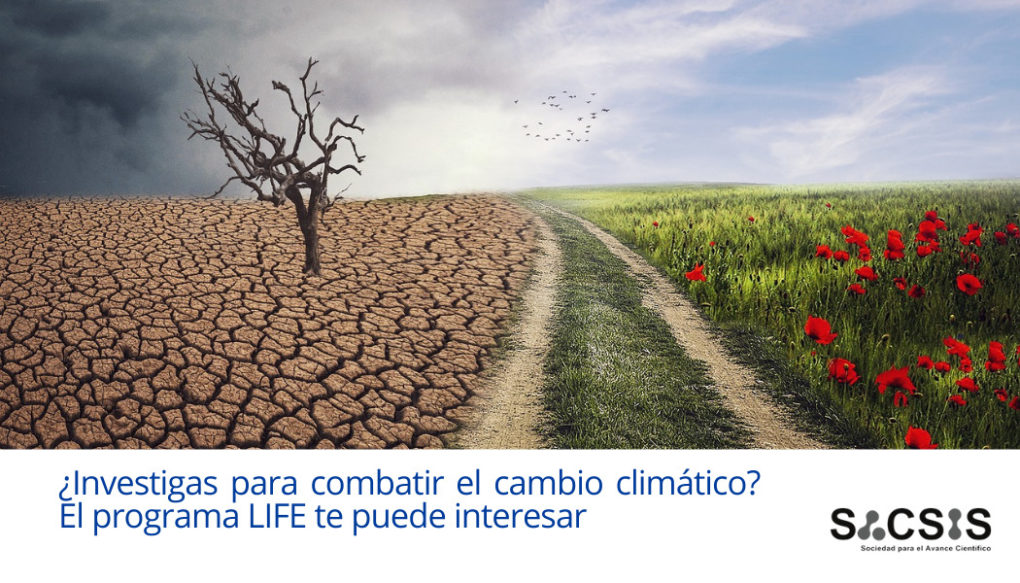 ¿Investigas para combatir el cambio climático? El programa LIFE te puede interesar