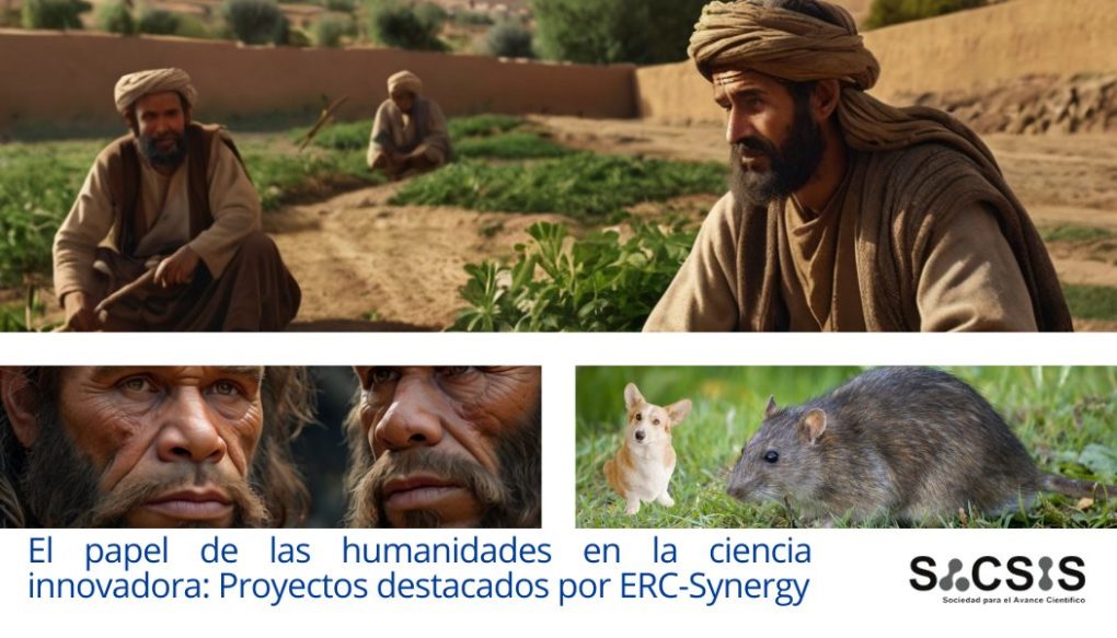 ERC Synergy: El papel de las humanidades en la ciencia innovadora