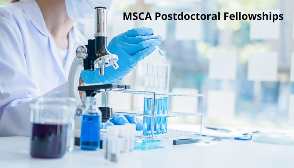 Novedades 2025 en el programa MSCA Postdoctoral Fellowships (MSCA-PF ...