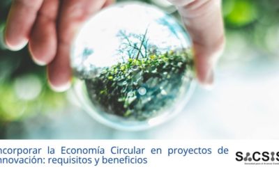 Incorporar la Economía Circular en proyectos de innovación: requisitos y beneficios