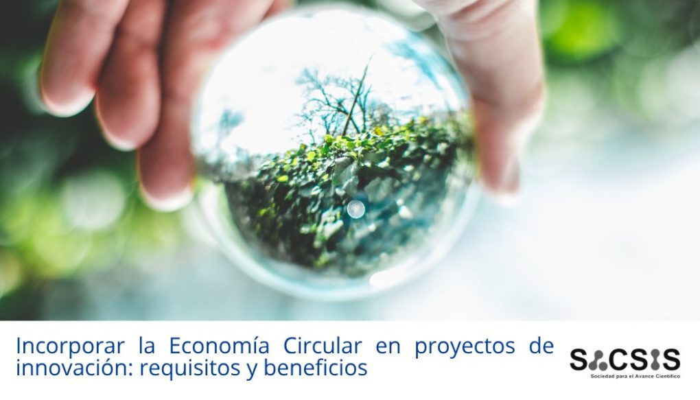Incorporar la Economía Circular en proyectos de innovación: requisitos y beneficios