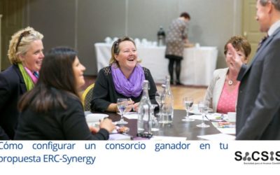 Cómo configurar un consorcio ganador en tu propuesta ERC-Synergy