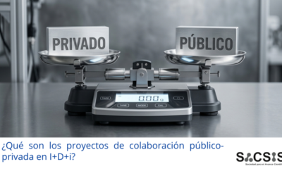 ¿Qué son los proyectos de colaboración público-privada en I+D+i?